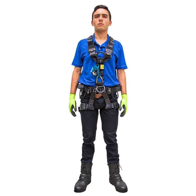 Arnés de seguridad con 5  argollas en D TA-1831014-AQRB-L/XL